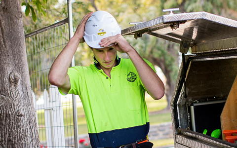 Apprenticeships & Traineeships Services